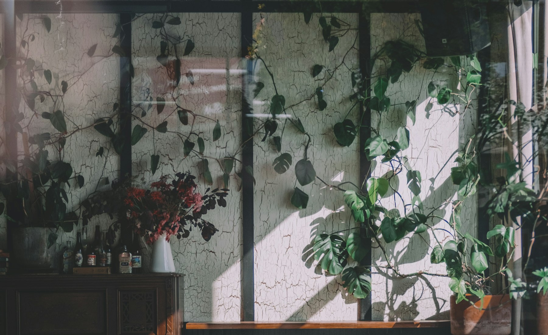 Late afternoon light coming through a wall of plants onto empty tables